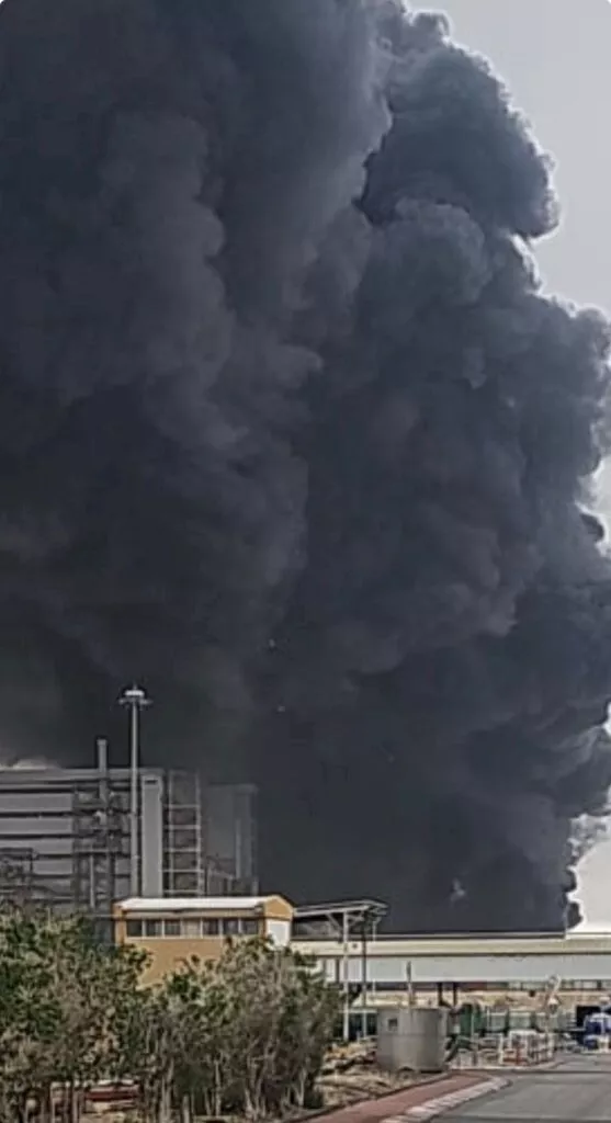 WhatsApp-Image-2026-03-29-at-15.44.00-557x1024