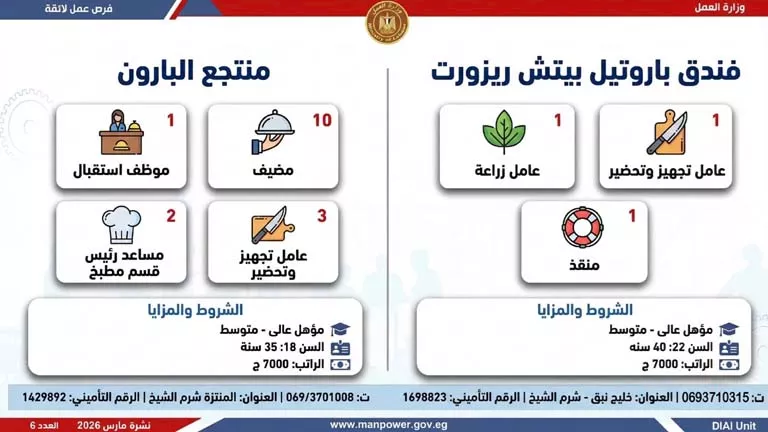 نشرة التوظيف (28)