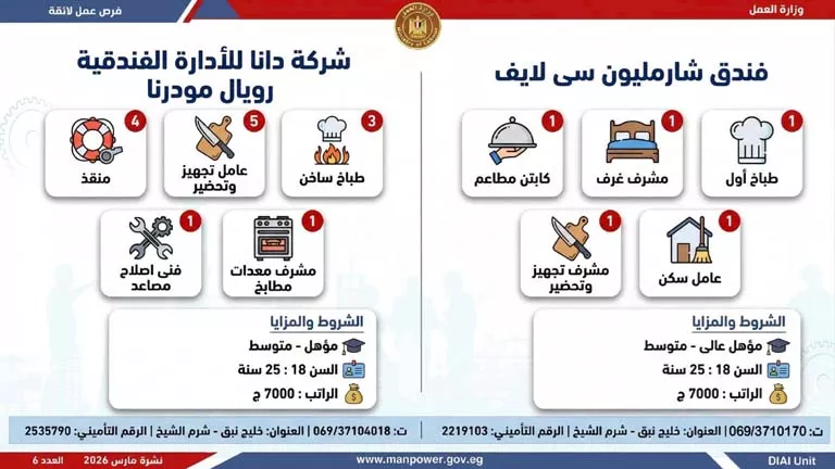 نشرة التوظيف (27)