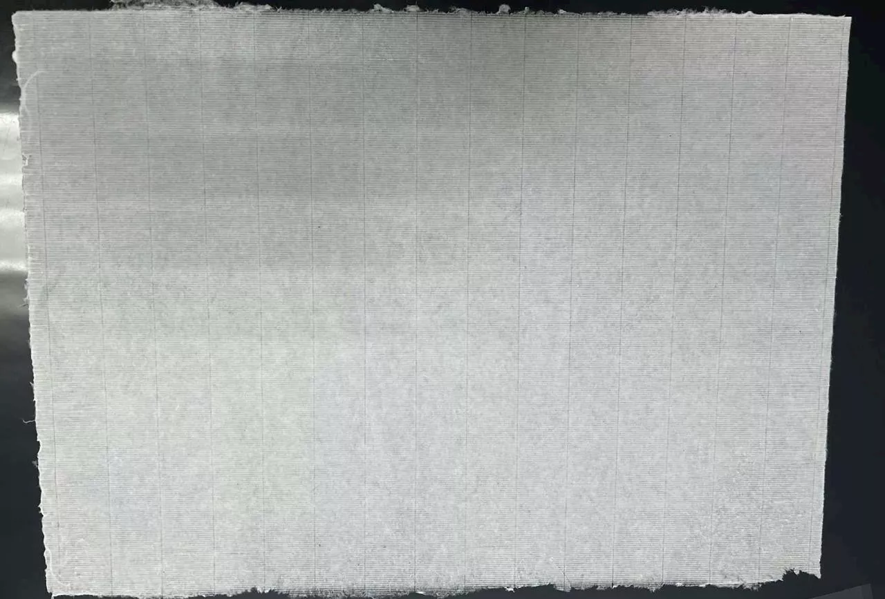 مكتبة الإسكندرية تنتج ورق ترميم بمواصفات عالمية ٢