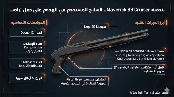 إنفوجراف السلاح