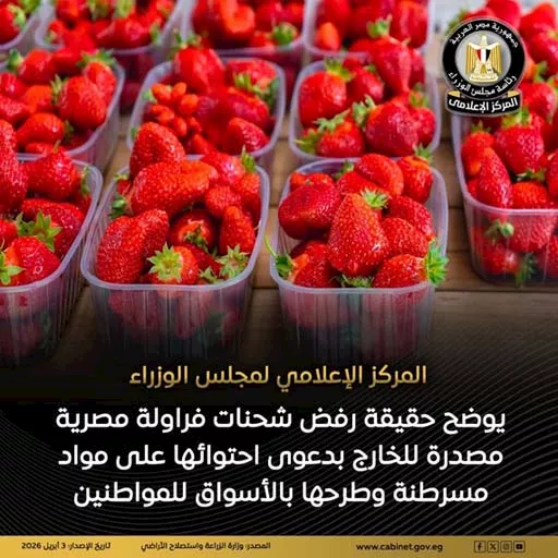 الفراولة