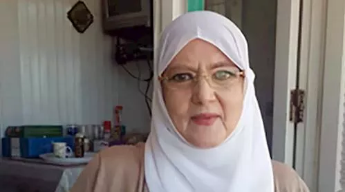 شمس البارودي