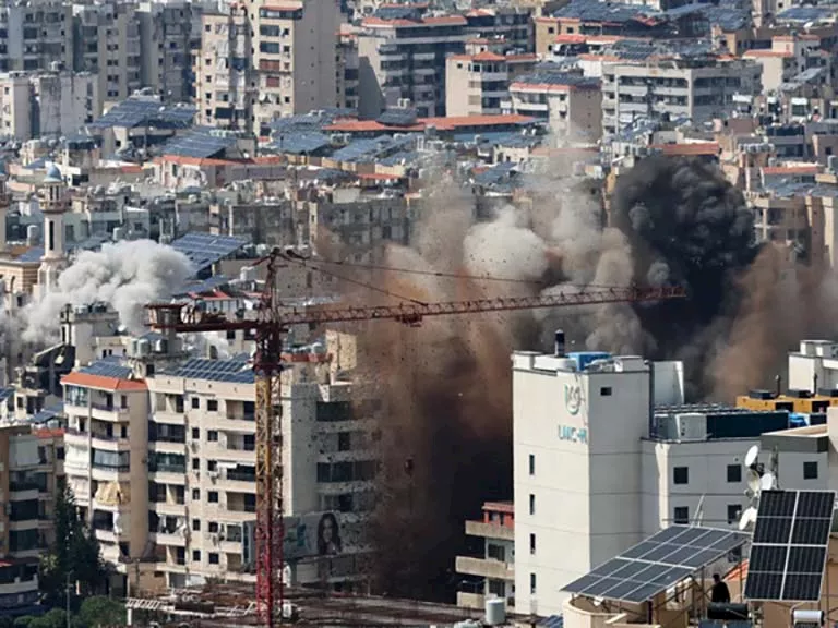 2222222222222_1_11zon