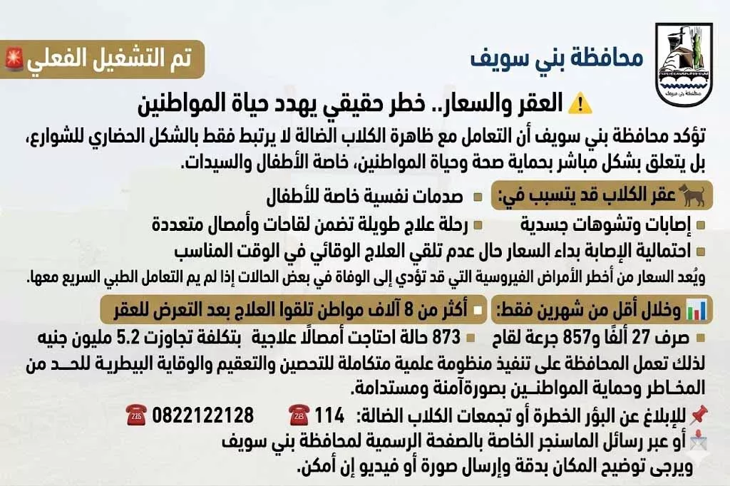 الكلاب