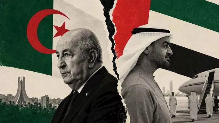 صورة 3 الجزائر الإمارات
