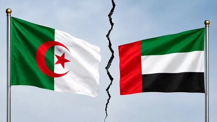 صورة 1 الجزائر الإمارات