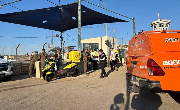 إصابة نجل السفير الإسرائيلي لدى واشنطن في هجوم دهس (2)