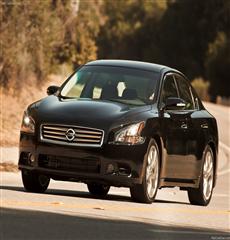 اسعار ومواصفات نيسان مكسيما 2013 الجديدة