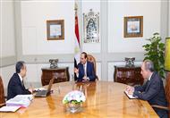 السيسي يبحث خطة الكهرباء للعام المقبل