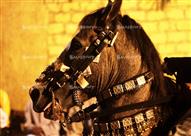 "ليلة الحنة" في الصعيد