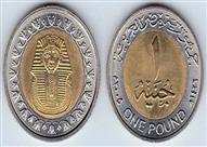  جنيهاً معدنياً