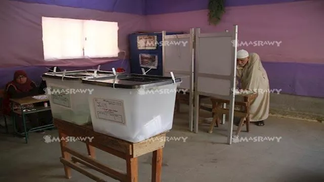   انتخابات البرلمان                               