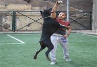 الدوبر مان كلب صاحب صاحبه والغدر مش طبعه