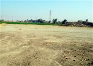 اراض زراعية