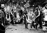 الهولوكوست                                        