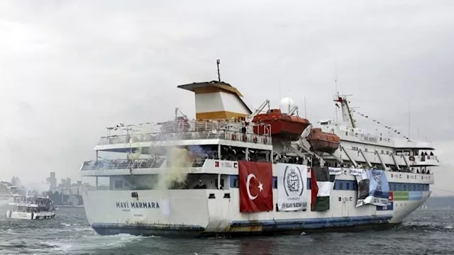  أسطول الحرية                                     