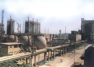 مصنع الدلتا للأسمدة الكيماوية