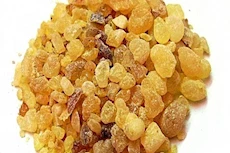 فوائد اللبان الدكر للمعدة والجهاز الهضمي