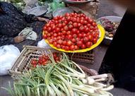 امتد أثر الغلاء إلى بائعي الخضروات