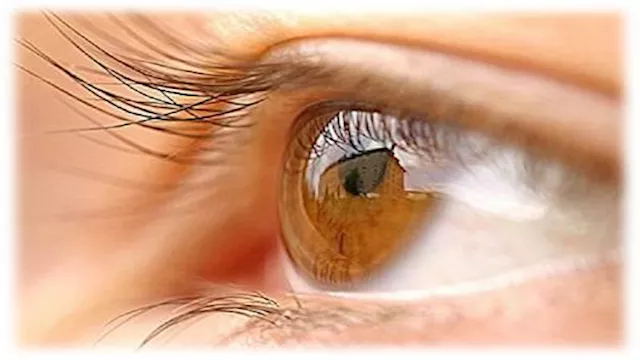 5 أطعمة تساعد على تقوية النظر.. تعرف عليها        