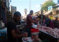 رئيسية-بيع الدجاج الحي في سوق بولاق