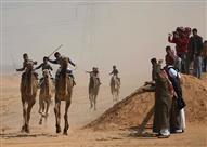 سباق الهِجن العربية الأصيلة