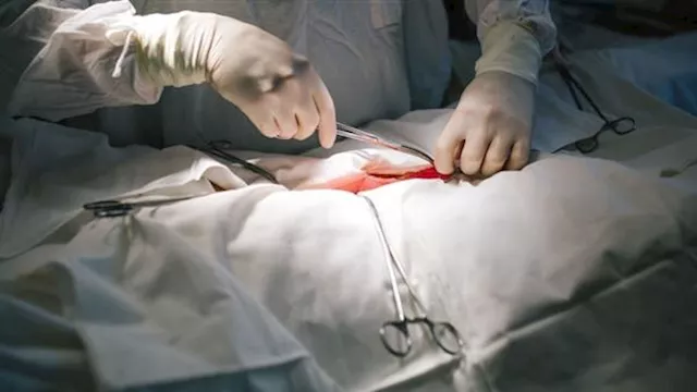  طبيبة تجميل ـ تعبيرية                            