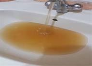 منها الكزبرة والفخار.. طرق طبيعية لتنقية مياه الشر