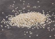 بذور السمسم