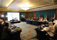 منظمة العمل العربية