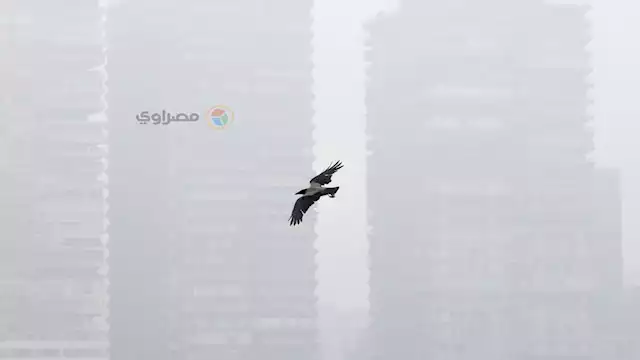 الشبورة المائية