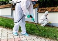 رش الحشرات ارشيفية