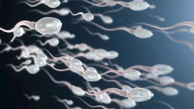 كيف تتغير حركة الحيوانات المنوية؟