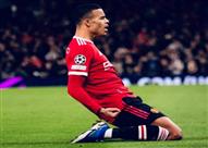 جرينوود يحتفل بهدفه