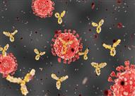 فيروس كورونا