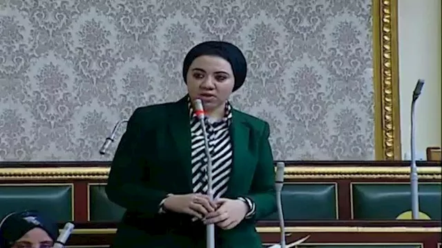 النائبة أميرة صابر