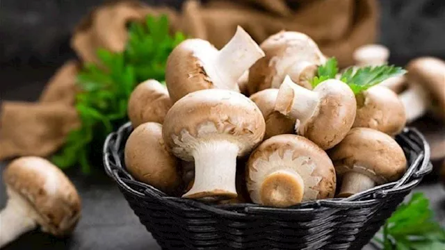 تناول المشروم مفيد لمرضى الشغط