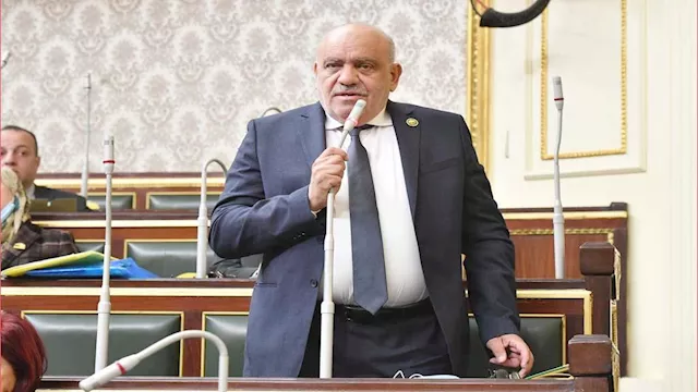 النائب سيد حنفي طه