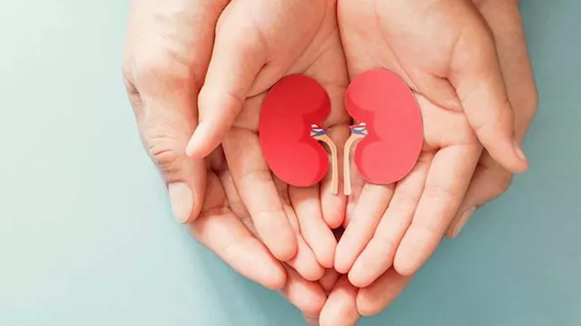 التبرع بالأعضاء