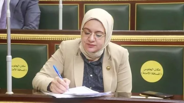 النائبة ريهام عبد النبي