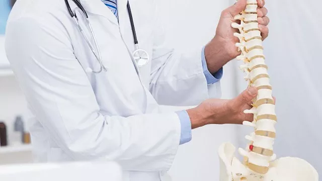 العمود الفقري