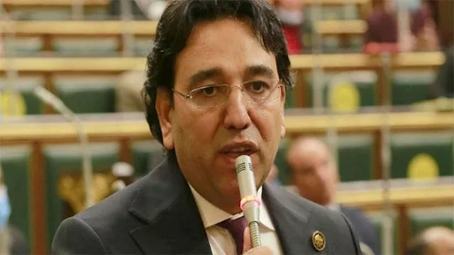 النائب أيمن محسب