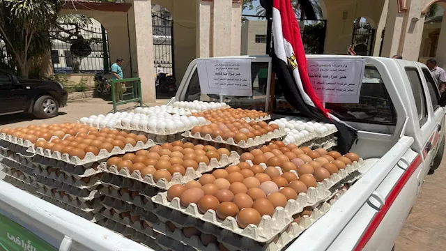 أسعار البيض