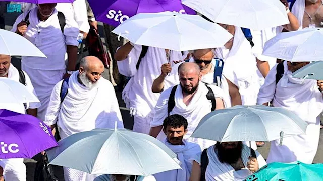 موسم الحج 2026