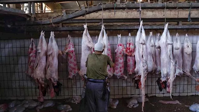  مجازر حكومية لذبح أضاحي العيد بالمجان 