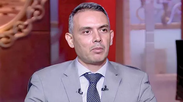 هاني جنينة الخبير الاقتصادي