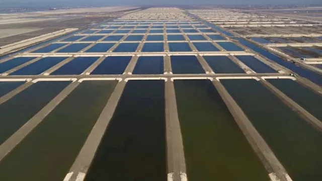 الاستزراع السمكي