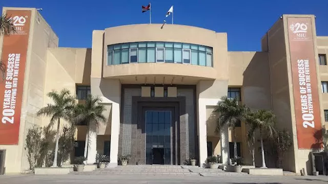 جامعة مصر الدولية