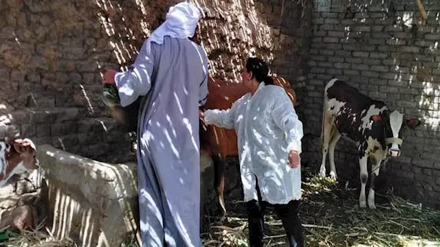 الحملات البيطرية ارشيفية